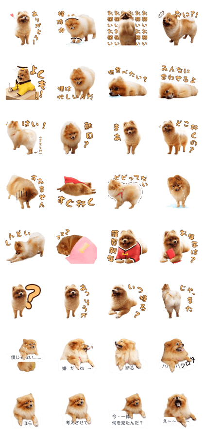 Wang Wang woof! woof!(Japanese Ver)