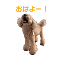 hana_20201103013136