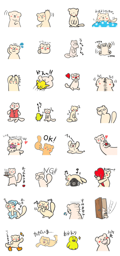 Ferret Yo-chan