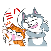 Cats and dogs are busy
