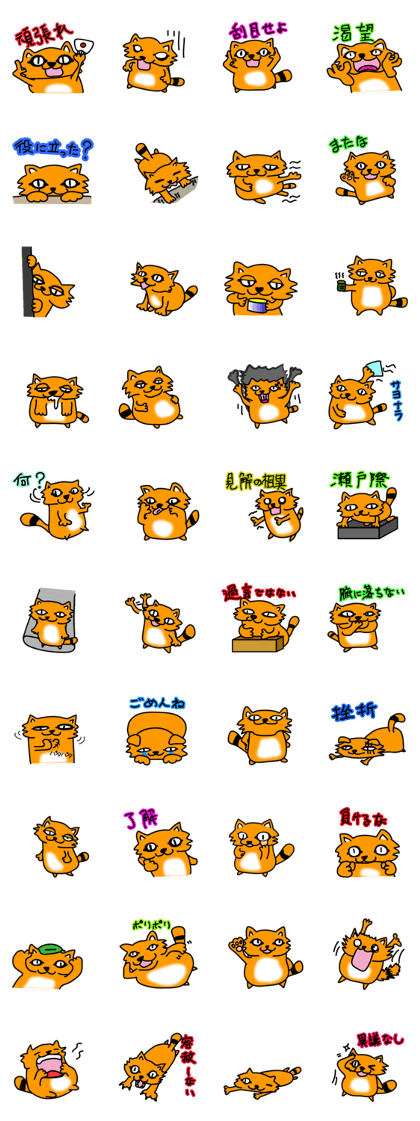 Cute tanuki