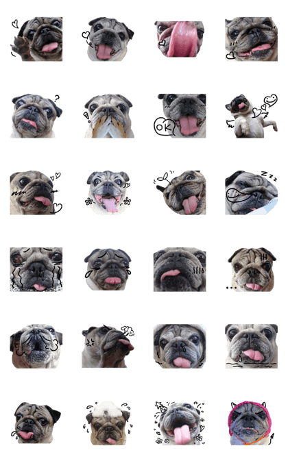 Pug-Make money (Animated Stickers)