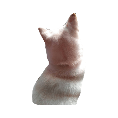 辛巴妮妮