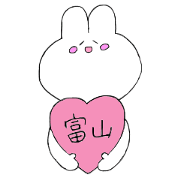 White rabbit in Toyama