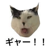 machizou