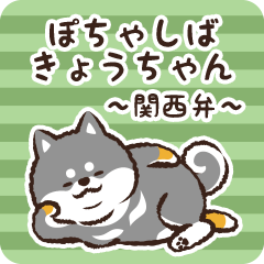 Pocha Shiba Kyouchan (Black)