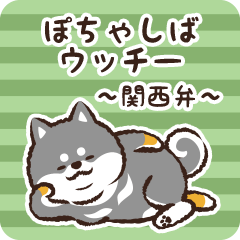 Pocha Shiba Ucchii (Black)