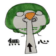quaker parrot ver.2
