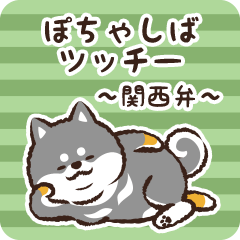 Pocha Shiba Tsucchii (Black)