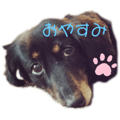 akiko_20201103110100