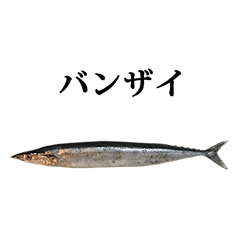 nama sanma 2