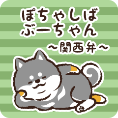 Pocha Shiba Buuchan (Black)