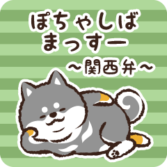 Pocha Shiba Massuu (Black)