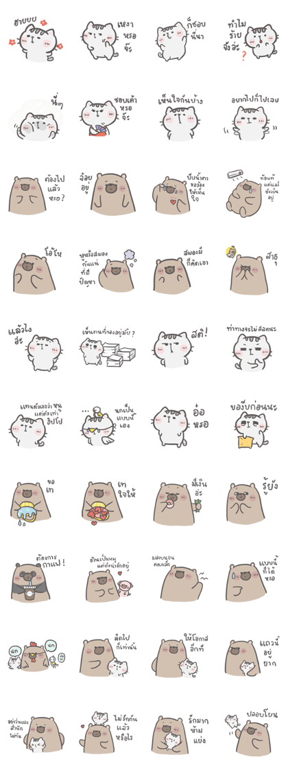 Mr. bear and his cutie cat 3