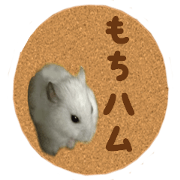 mochihamster