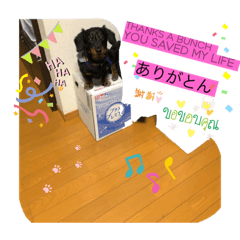 eight different kind of M