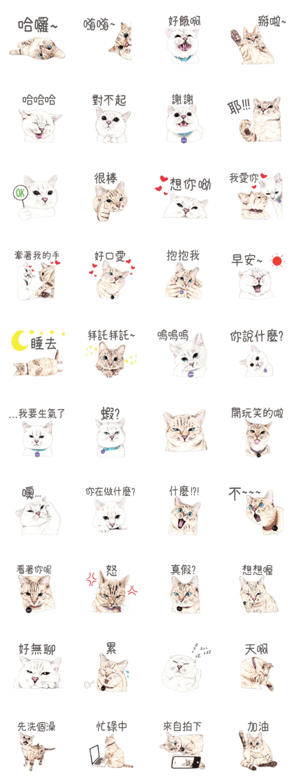 Nala and White Coffee Cat (Chinese)