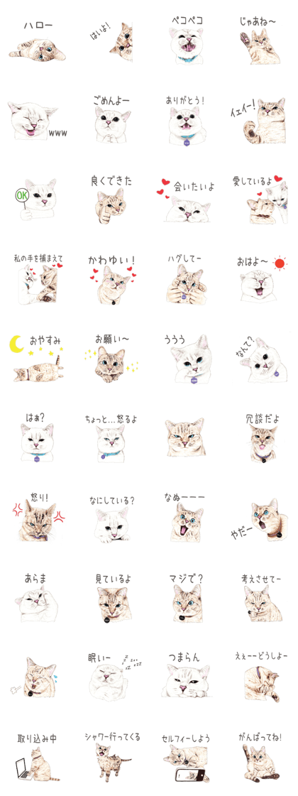 Nala and White Coffee Cat (Japanese)