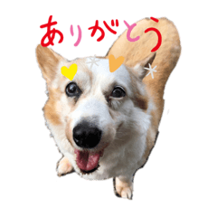 haruna_20201102223432