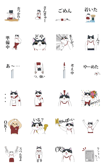 Gymnast cat "Yukimi-kun"