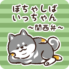 Pocha Shiba Itchan (Black)