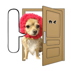 Chisa_20201103130031