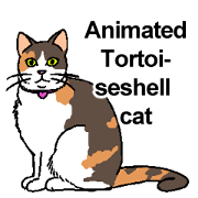 Animated Tortoiseshell cat.