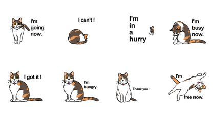 Animated Tortoiseshell cat.