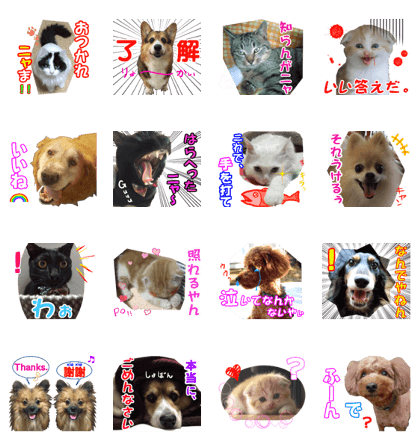 Animals of feelings.