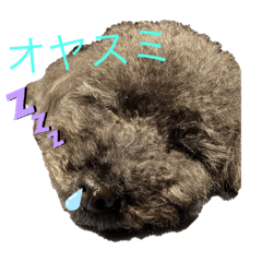 saya_20201103142528