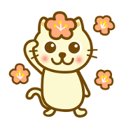 Koume cat