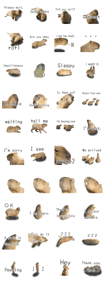 Capybara of Kapi-chan 2(English edition)