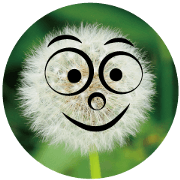 Nature face