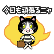 hachiware cat boy