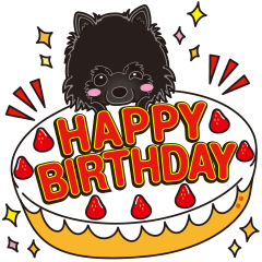 Black Pomeranian Birthday