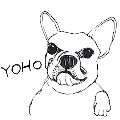 YOHO-frenchbulldog