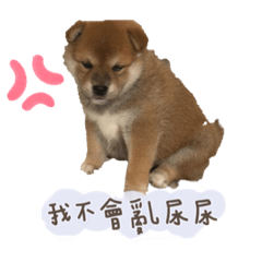 布丁妹妹專用3