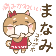 For MANAMI'S Sticker (New)