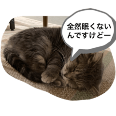 Kosuke_20201103165023