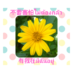 KITTY的文字貼圖：中泰文篇(1)