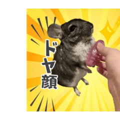 Chihiro_20201103174232