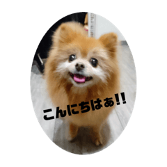 kazuki_20201103193050