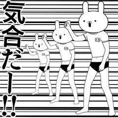 Pro-physical education party rabbit