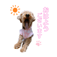 hirahira_20201103224031