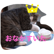 aohamu_20201103191446