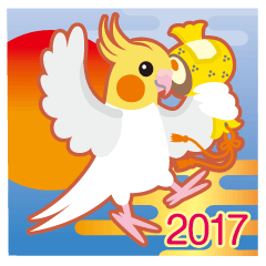 2017~Cockatiel with a cute cheek