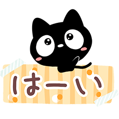 Very cute black cat (Cute message)