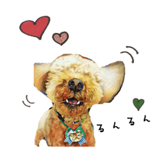 toy poodle mashu sticker