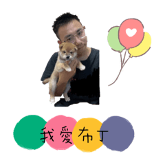 羊布丁