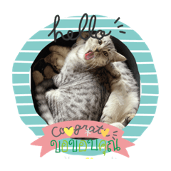 Bella_20201104123115